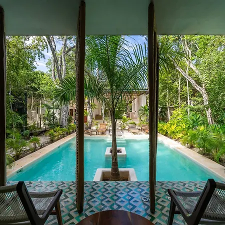 Jungle Reflection Loft Beach Club